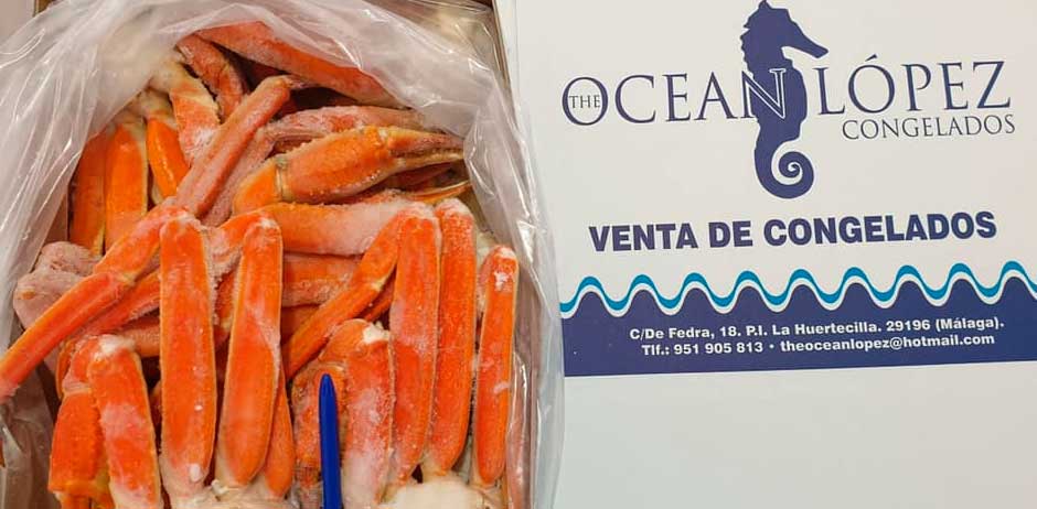 Ocean López Congelados Proveedores Hostelería Málaga
