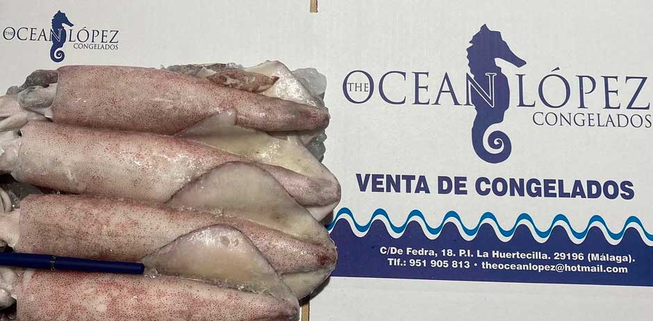 Ocean López Congelados Proveedores Hostelería Málaga